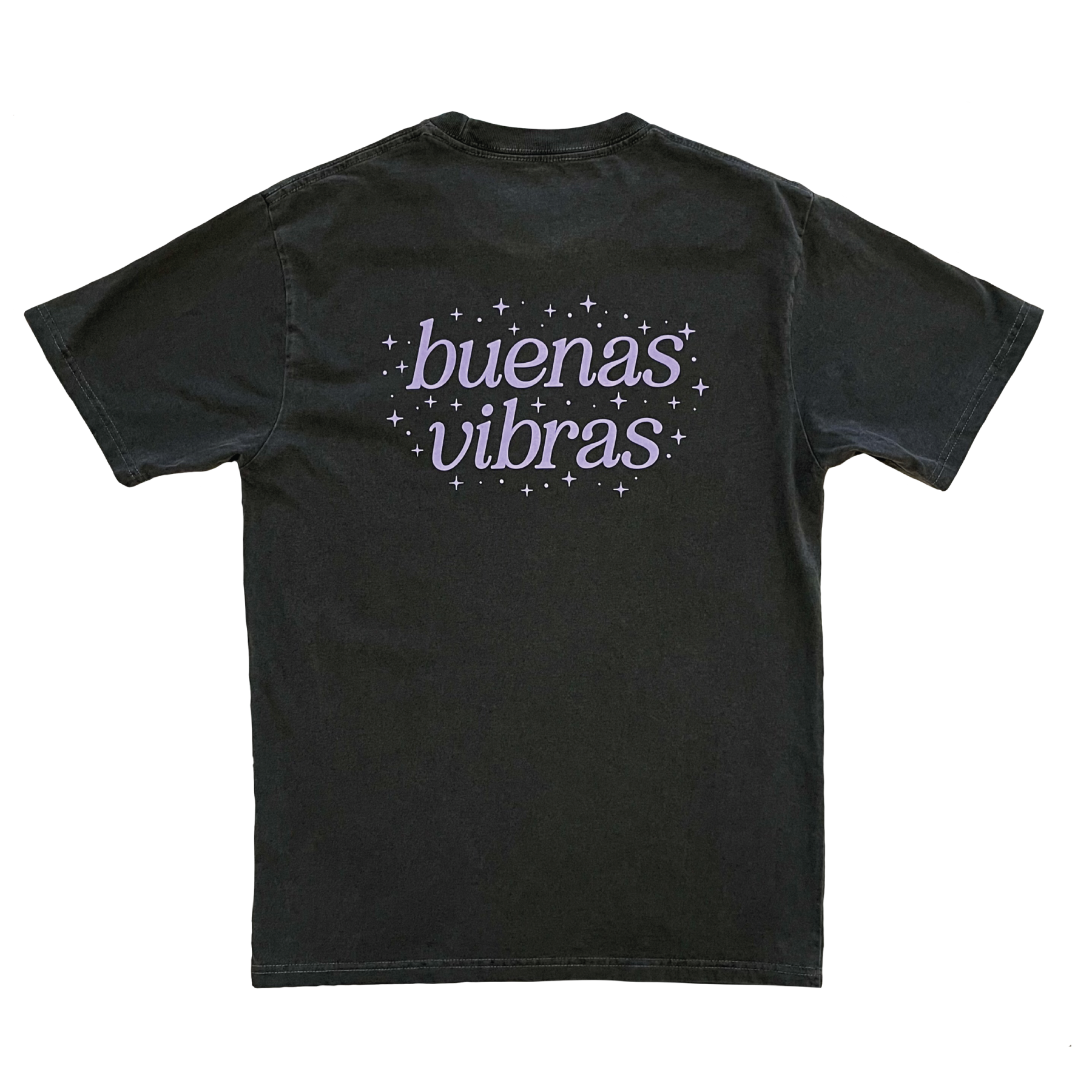 BV_BACK_TSHIRT.png