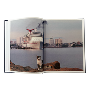 Postcards From Cherry Beach Book