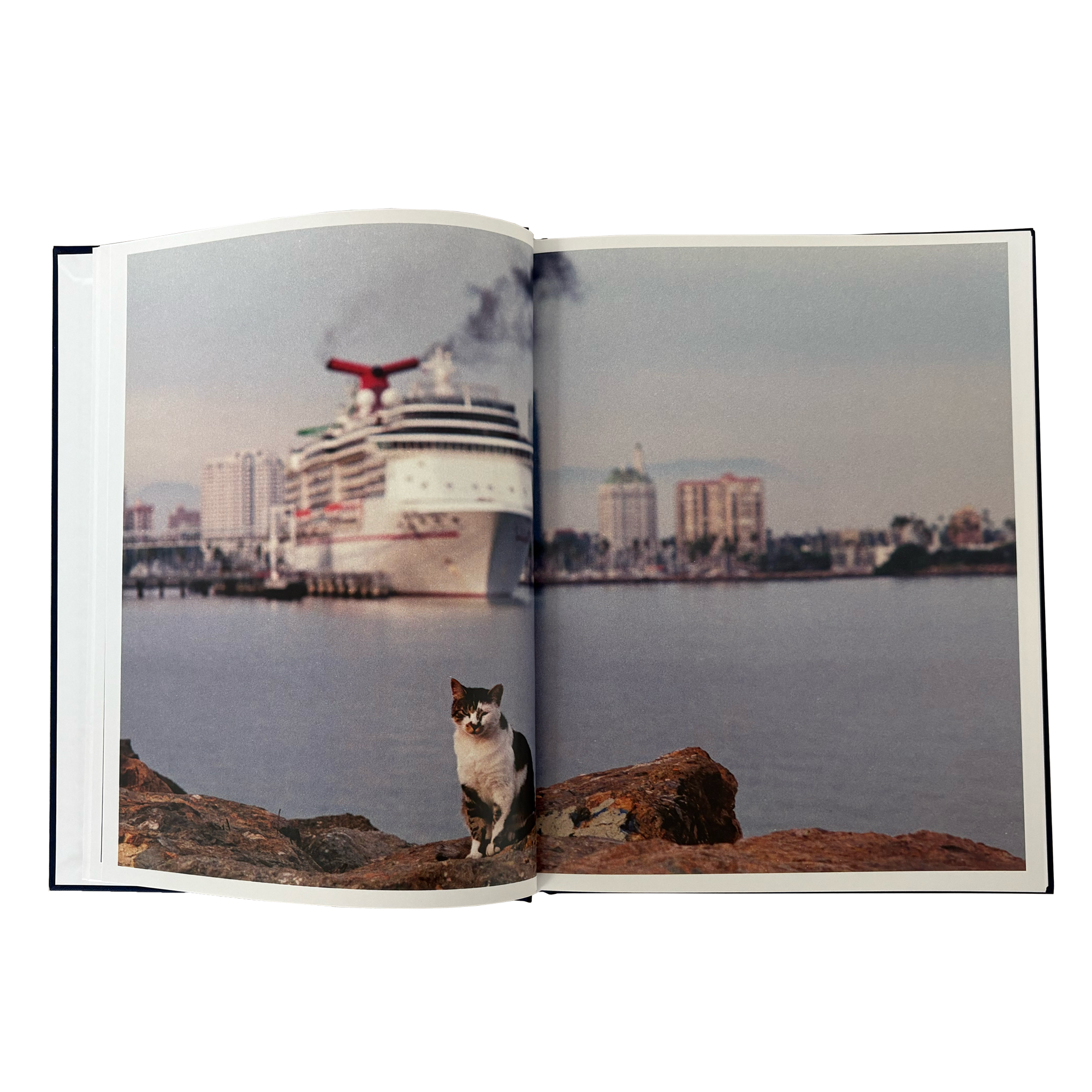 Postcards From Cherry Beach Book