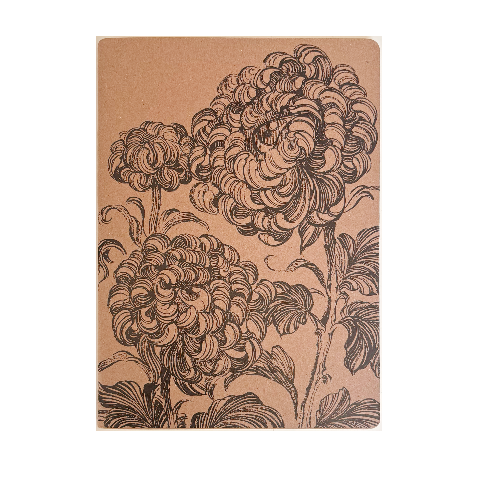 Diego Andrade - Notebook