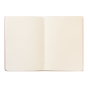 Diego Andrade - Notebook