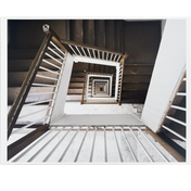Nordy - 8.5" x 11" Photo Prints