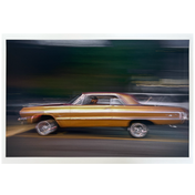 Nordy - 13" x 19" Photo Prints