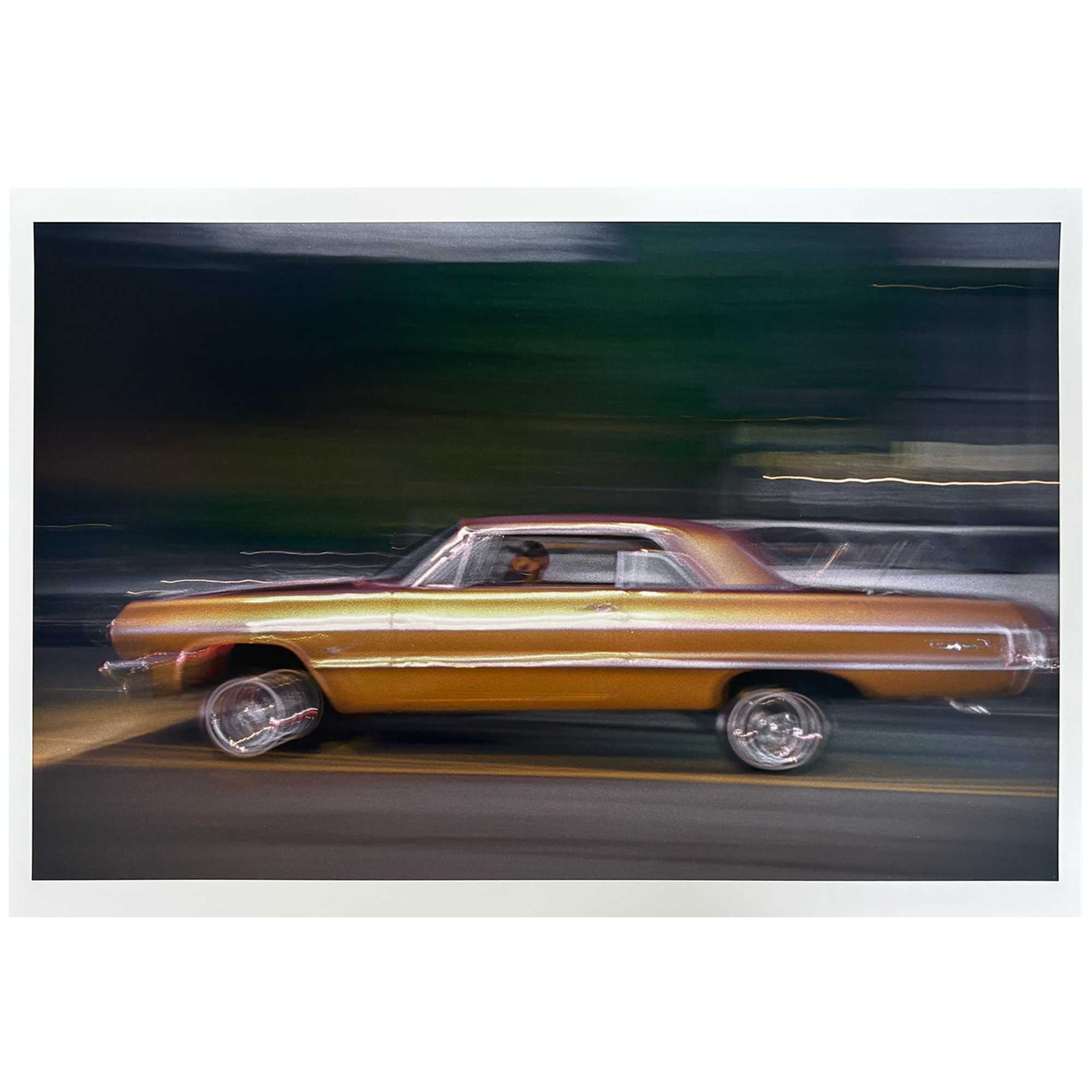 Nordy - 13" x 19" Photo Prints