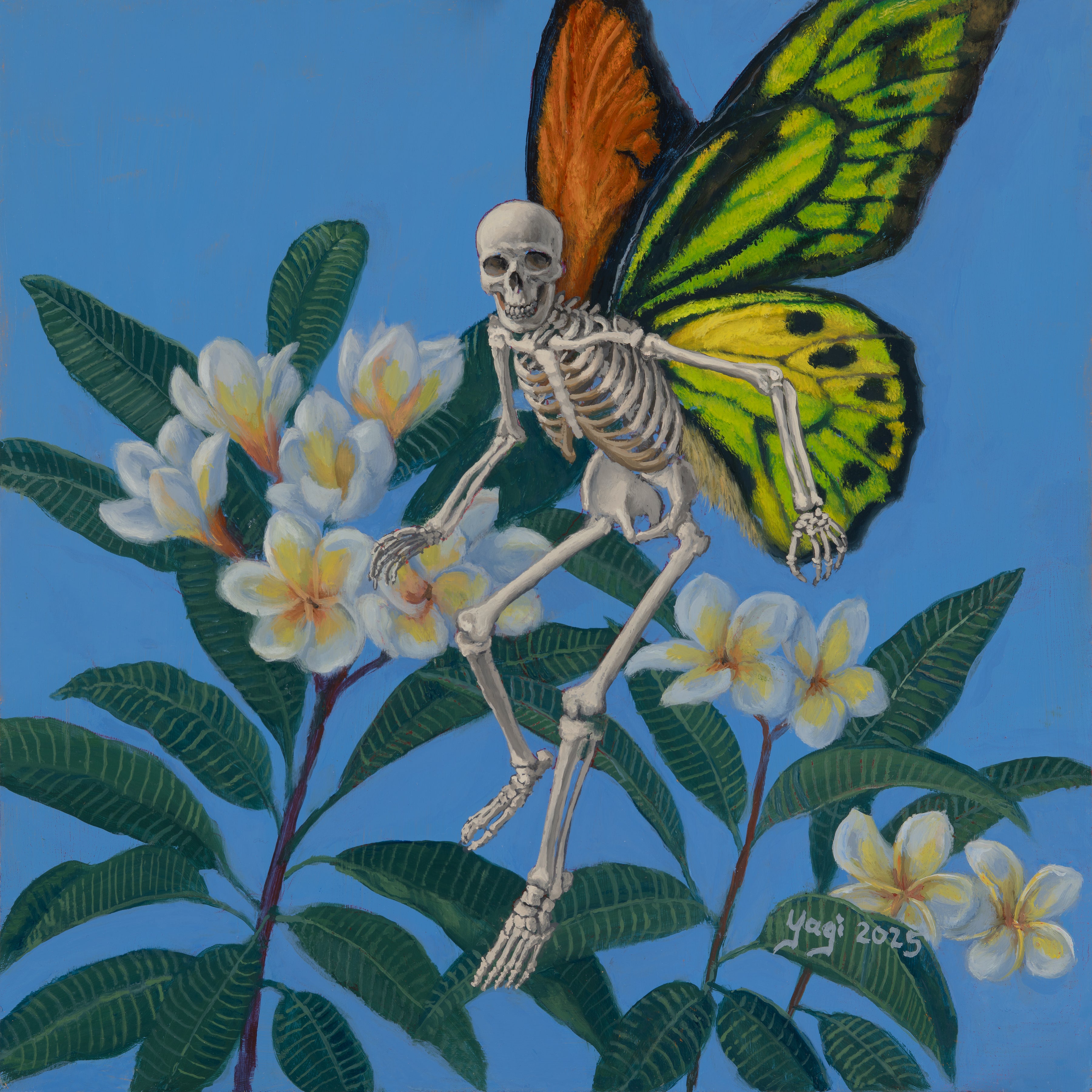 PlumeriaandSkeletonButterfly.jpg