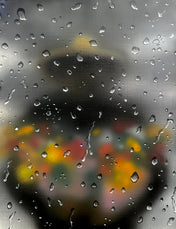 Rosy Cortez - Rain or Shine